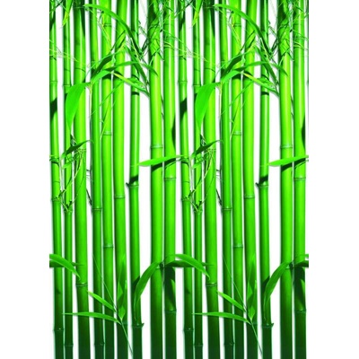 W+G 421 Papírová 4 dílná fototapeta Bamboo, rozměry 183 x 254 cm