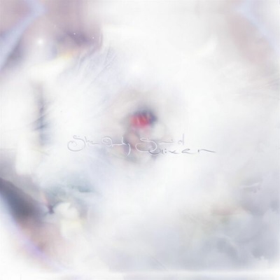 Glixen - She Only Said (Limited Fruit Punch Vinyl) LP