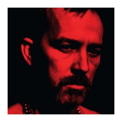 Duquette Johnston - The Social Animals LP