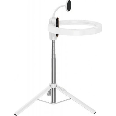 Ulanzi LT030
