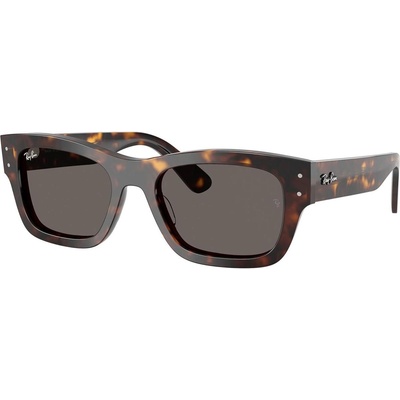 Ray-Ban RB7683S 902/B1 (RB7683S 902/B1)