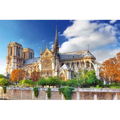 DIMEX ART Флизелинов фототапет парижка катедрала 375 x 250 см