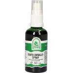 Gall Pharma Здрави стави Дяволски нокът 50 ml, спрей (04786 (4485023) GP)