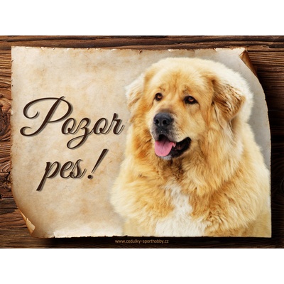 Sport hobby Cedulka Tibetská doga Pozor pes CP1364 15 x 11 cm
