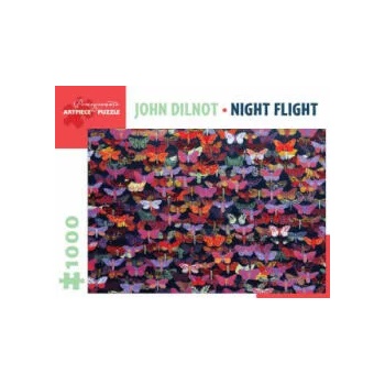 John Dilnot Night Flight 1000-Piece Jigsaw Puzzle