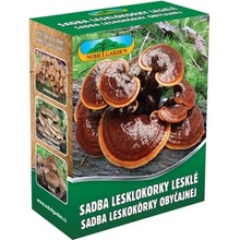 Lesklokorka lesklá 250ml