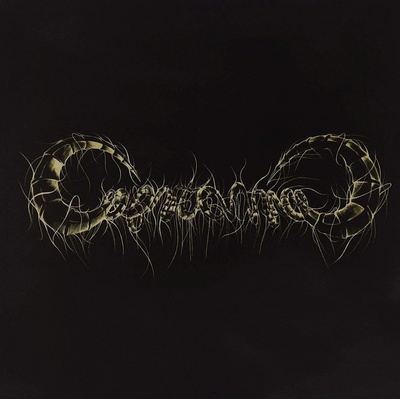 Capricorns - Capricorns (12" Vinyl EP)