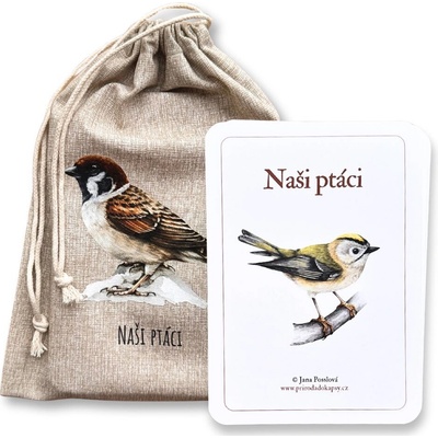 Naučné karty Naši ptáci – Hledejceny.cz