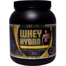 Titanus Whey Hydro DH32 1600 g