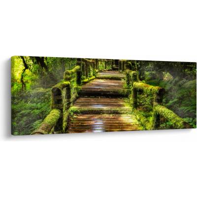Obraz schodů v deštném pralese, jednodílný 145x58 cm