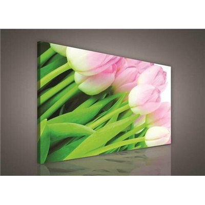 Obraz na plátně růžové tulipány 149O1, 100 x 75 cm, IMPOL TRADE