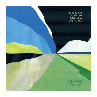 Orchestre Tout Puissant Marcel Duchamp: Sauvage Formes LP