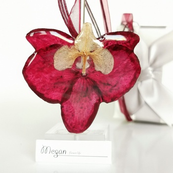 Meganflo Червена орхидея
