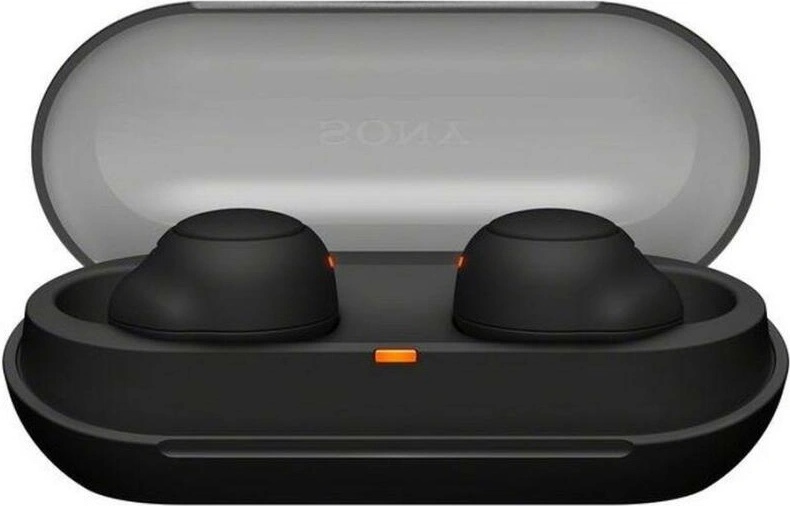 Sony WF-C500
