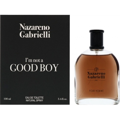 Nazareno Gabrielli I´m not a Good Boy toaletní voda pánská 100 ml