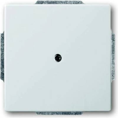 Busch-Jaeger 2CKA001710A3752