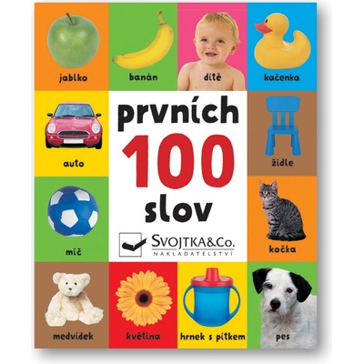 Prvních 100 slov