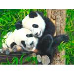 SunsOut - Puzzle Bamboo Buddies - 300 piese