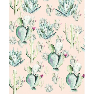 Komar Vliesová fototapeta Cactus Rose rozměry 200 x 250 cm