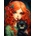 Norimpex - Puzzle Diamant painting: Redhead with a black cat 30x40cm - 1 - 39 piese