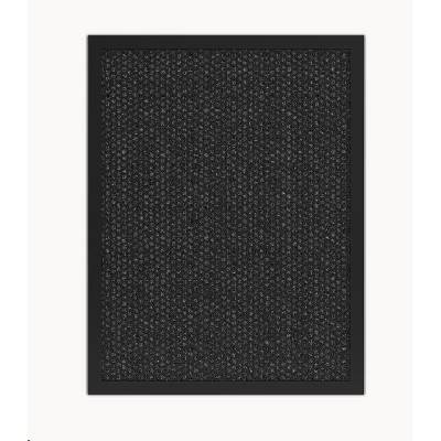 Tesla Smart Air Purifier Pro L Carbon Filter TSL-AC-3006CARBON-ACC