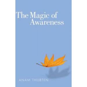 Magic of Awareness | Anam Thubten (2012)