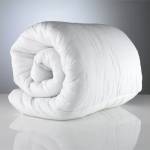  ОЛЕКОТЕНА ЗАВИВКА DILIOS МИКРОФИБЪР LANNA 150x210см 300гр (1000013313)