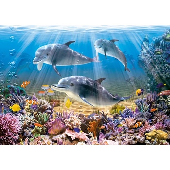 Castorland - Puzzle Dolphins 4 - 500 piese
