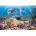 Castorland - Puzzle Dolphins 4 - 500 piese