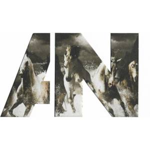 Awolnation - Run (CD) (0844942041611)