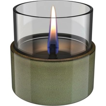 Tenderflame Aster 10 Reactive Glaze Zelená