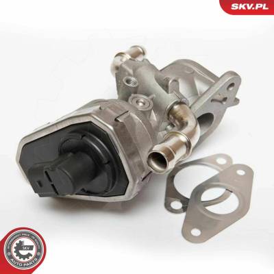 AGR-Ventil ESEN SKV 14SKV044