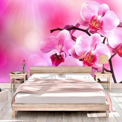 Tapeta SABLIO Květy orchideje, rozměry 336x220 cm