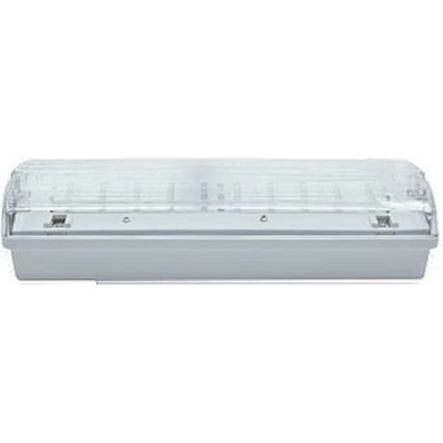 NBB CARLA-AT 30 LED 230-240V 3h TP IP65 910105000