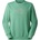 The North Face Мъжки пуловер The North Face Drew Peak Light Regular Crew Jumper - Dimmed Algae / Stone Slab (017-4319-0312)
