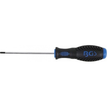 BGS technic Skrutkovač | vnútorný šesťhran 3 mm | Dĺžka čepele 100 mm (BGS 8629-4)