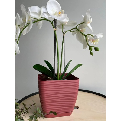 FORMplastic Sahara Petit 13 marsala