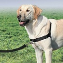 PetSafe EasySport postroj pre psa