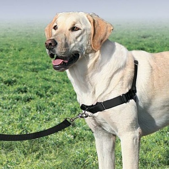 PetSafe EasySport postroj pre psa