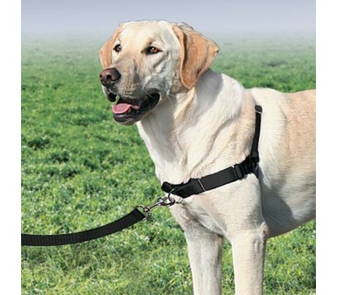 PetSafe EasySport postroj pre psa