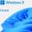 Microsoft Win 11 home 64bit eng usb fpp (win 11 home 64bit eng usb fpp)