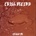 Cross Record - Crush Me (2 LP) (0600197021118)