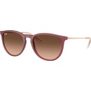 Ray-Ban Erika RB4171 6815A5