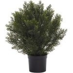 Rossima Изкуствен храст в саксия - Кедър 61 см b234z-32020-gs108