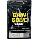 Gainery Olimp Gain Bolic 6000 1000 g