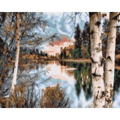 ZUTY Maľovanie podľa čísel POHĽAD CEZ BREZY Rámovanie vypnuté plátno na rám Rozmer 80 x 100 cm