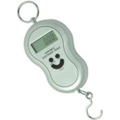 Odimon Závěsná digitální váha KYPS 40 kg – Zbozi.Blesk.cz
