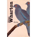Birdy - William Wharton