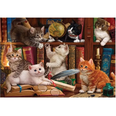 Anatolian - Puzzle Kittens in the Library 500 - 500 piese
