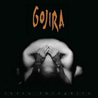 GOJIRA - TERRA INCOGNITA LP